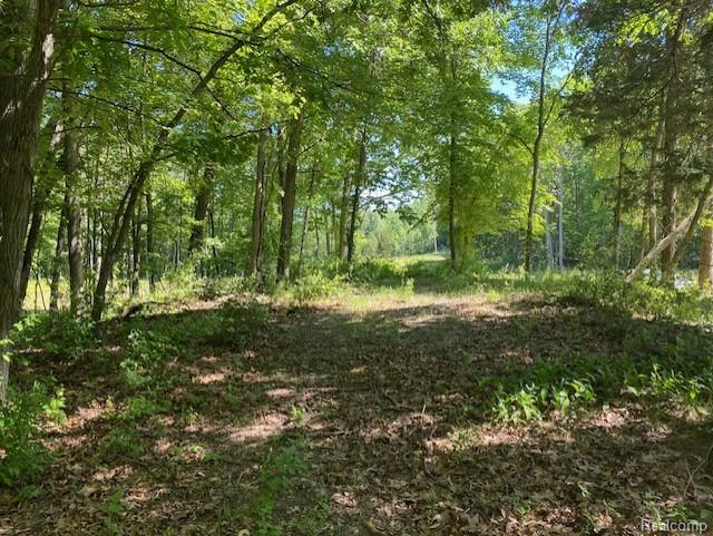 Lot 5 Dollar Ridge Lane, South Lyon, MI 48178 — Photo 7