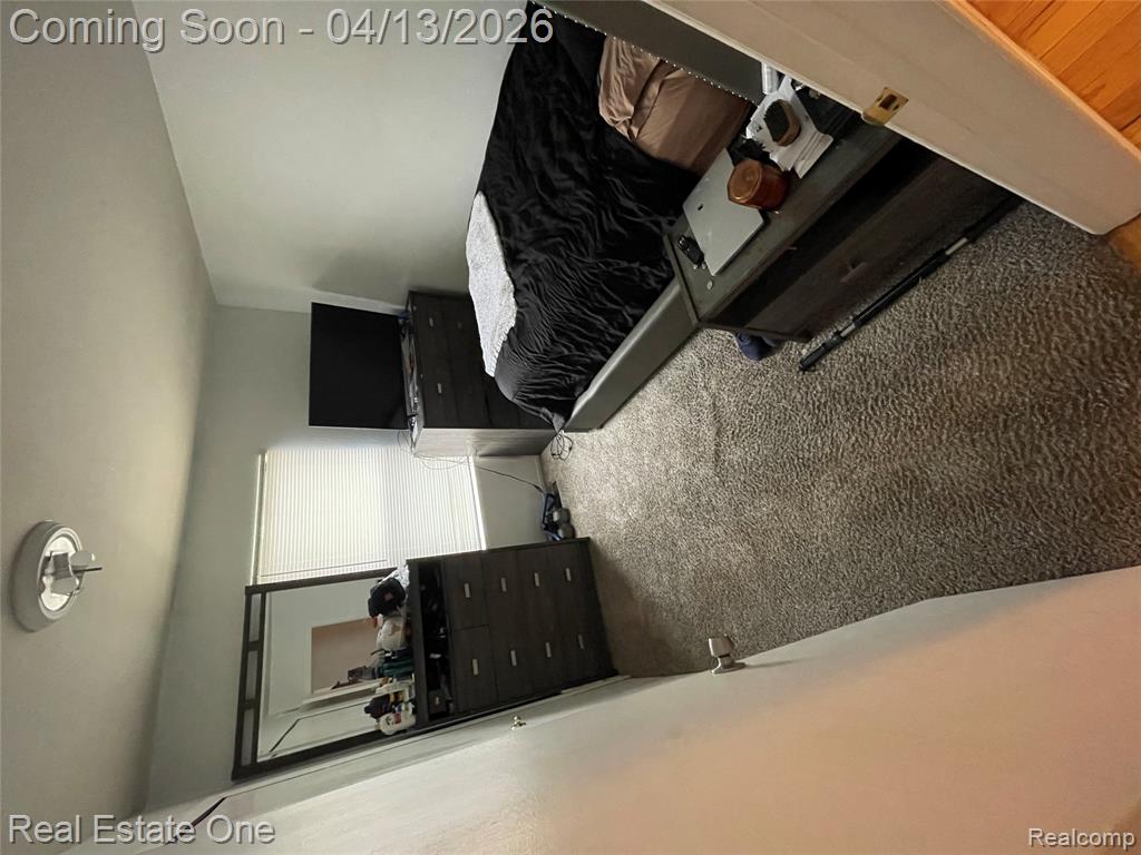 24738 Cashmere Court, 120, Southfield, MI 48033 — Photo 29