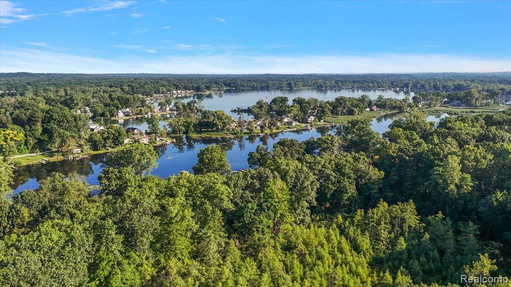 9080 River Valley Road, Brighton, MI 48116 — Photo 68