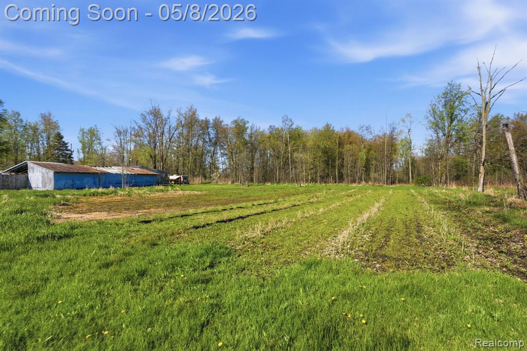 2905 S Plain Road, Caro, MI 48723 — Photo 36