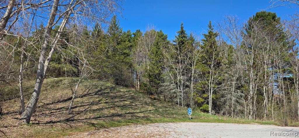 (Lot 16) S Walden Court, Suttons Bay, MI 49682 — Photo 2