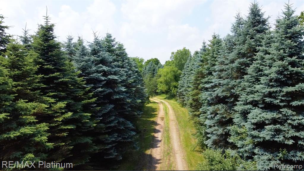 6450 FISHER ROAD, Howell, MI 48855 — Photo 34