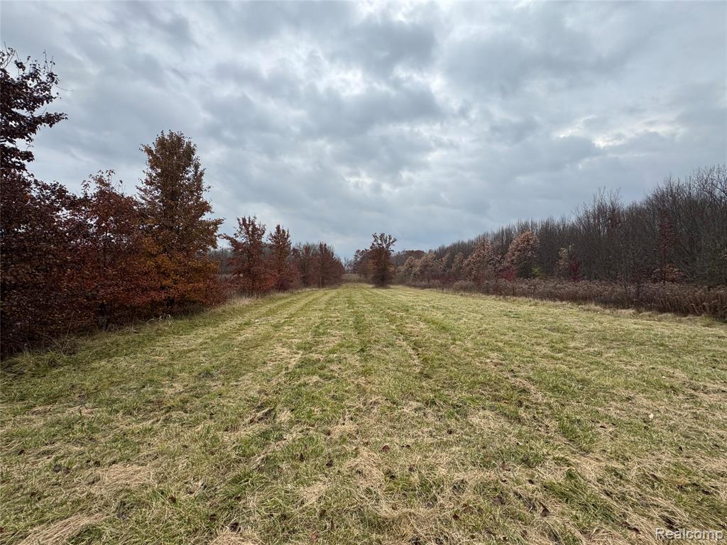 01 Remer Road, China, MI — Photo 9