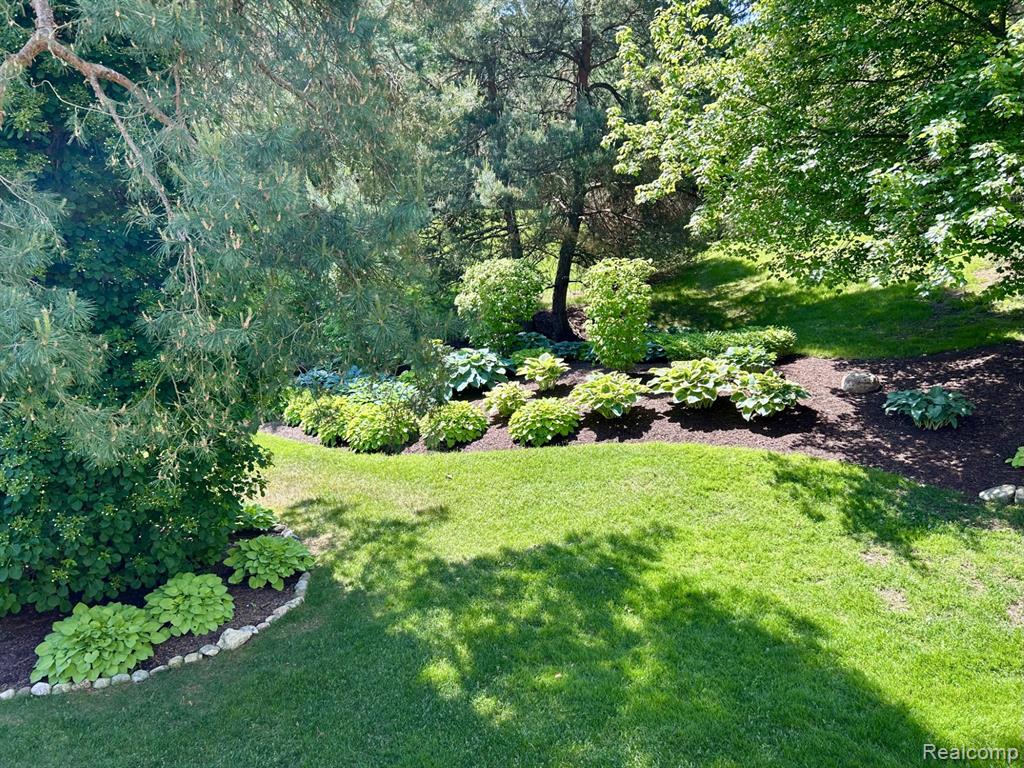 4791 Roundtree Drive - Photo 5