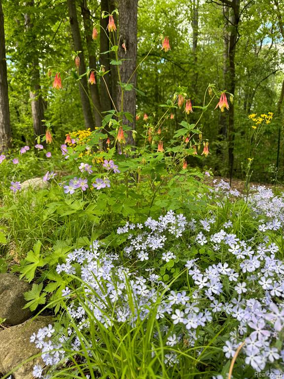 1827 HIGH HOLLOW Drive, Ann Arbor, MI 48103 — Photo 5