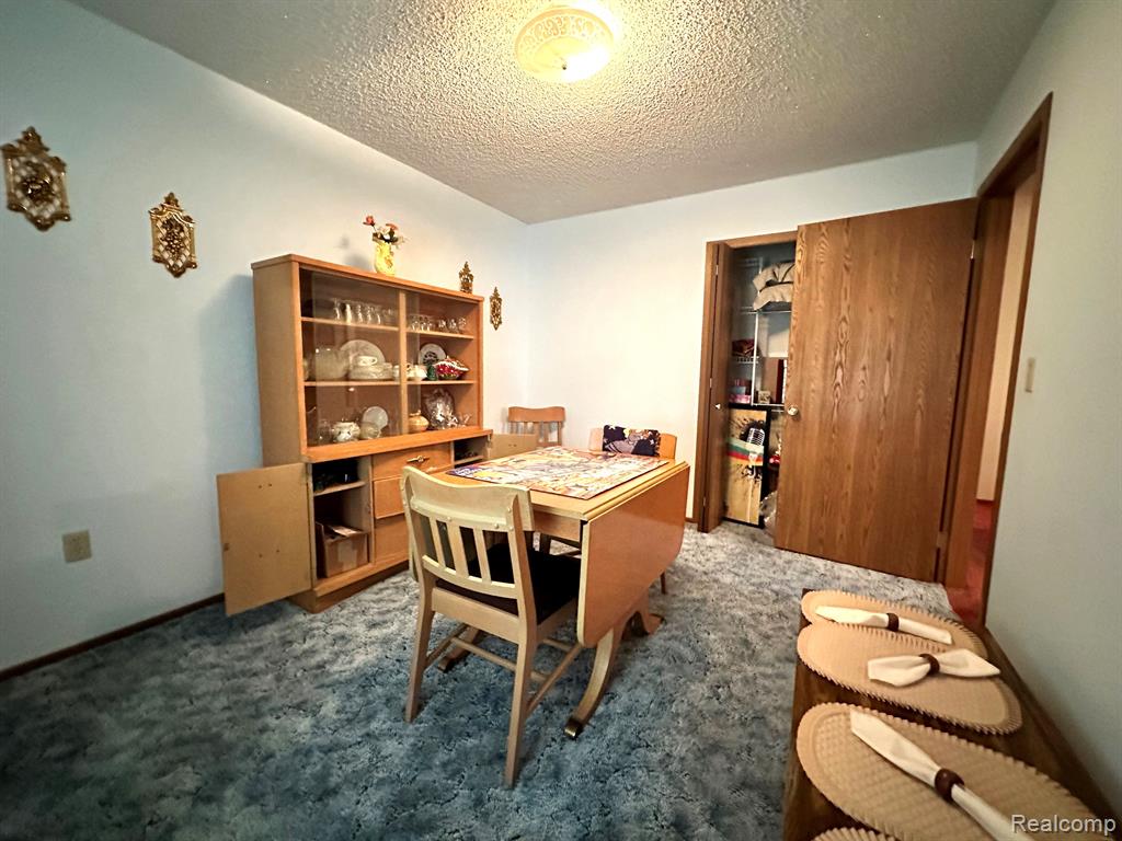 6111 5TH Street, Mayville Vlg, MI 48744 — Photo 20