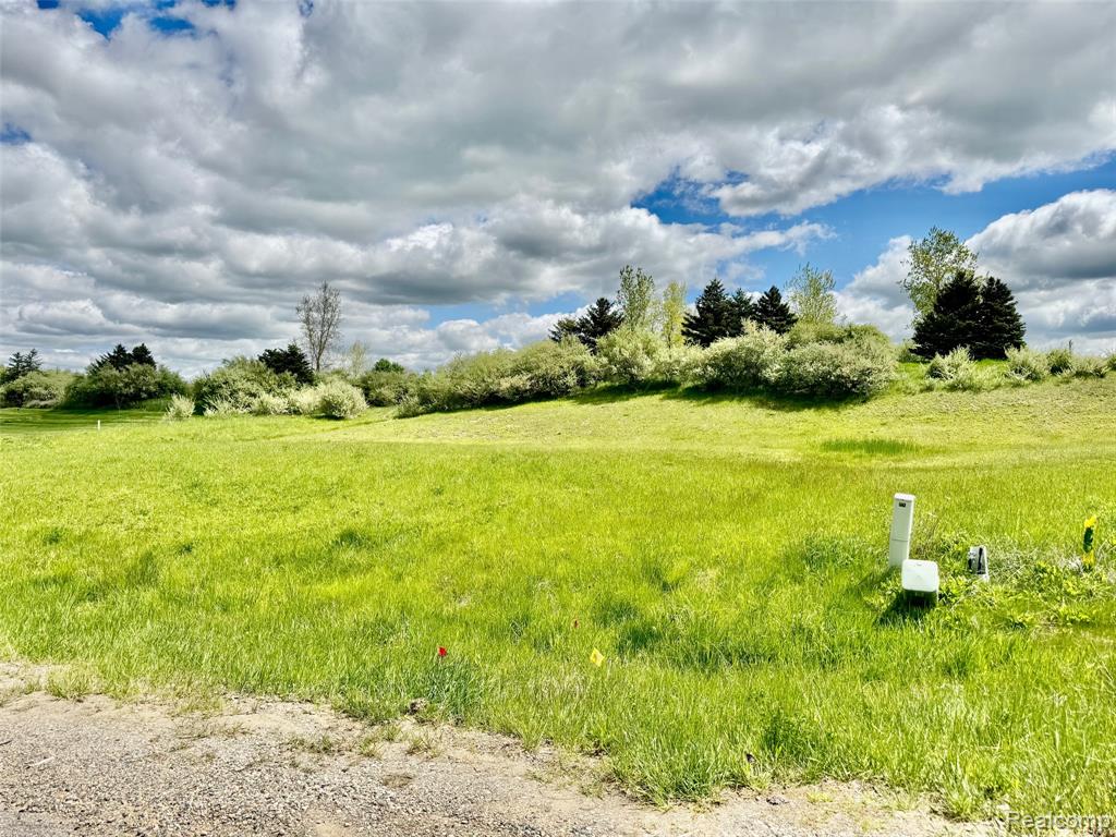 1058 INVITATIONAL Drive, Metamora, MI, 48455