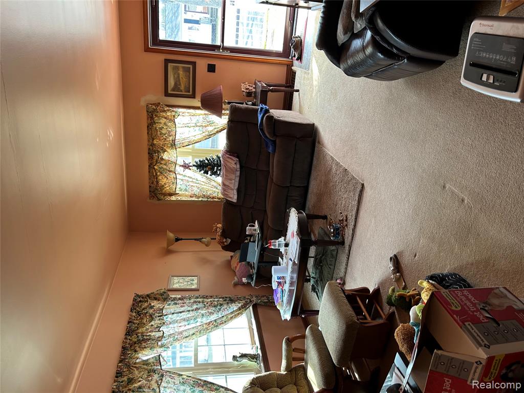 6667 Houghton Street, Cass City, MI 48726 — Photo 8