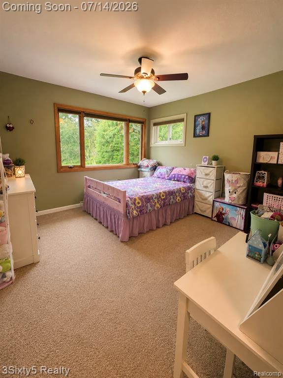 9251 Tonneberger Drive, Tecumseh, MI 49286 — Photo 23