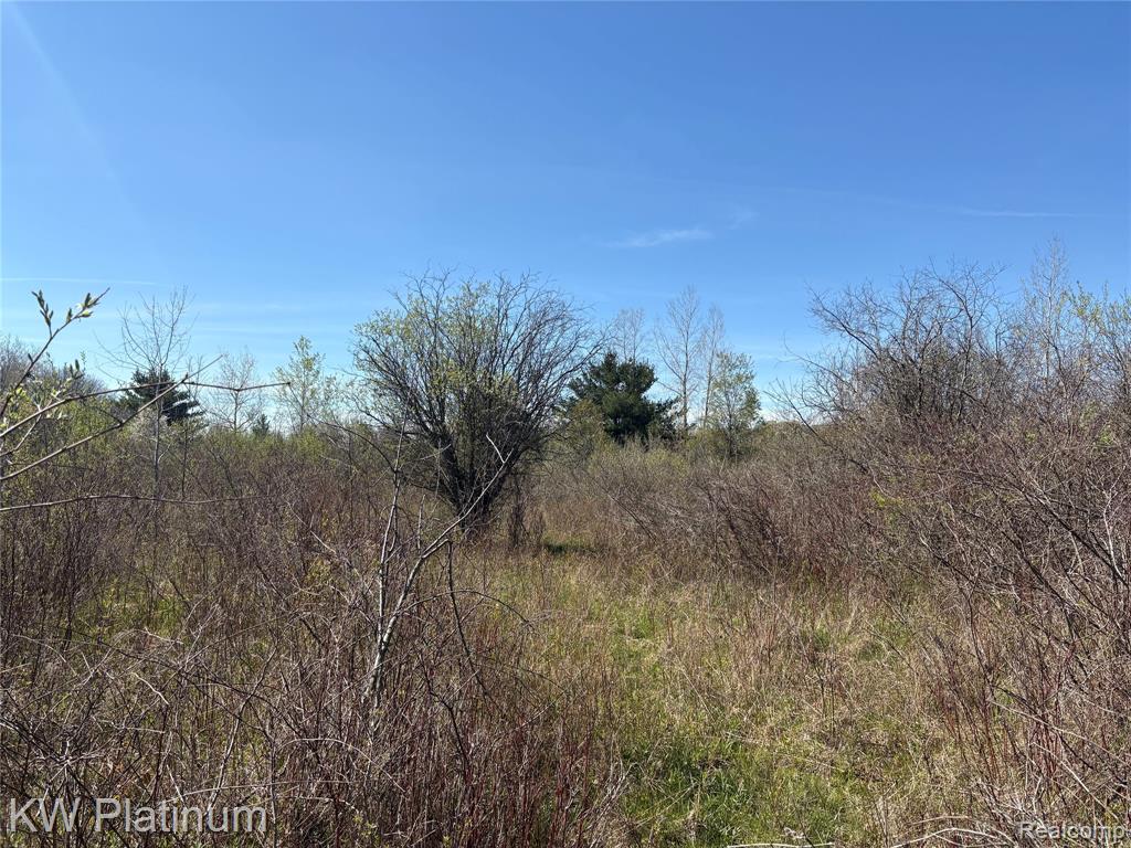 Parcel D Wicha Drive, Burtchville, MI 48059 — Photo 8