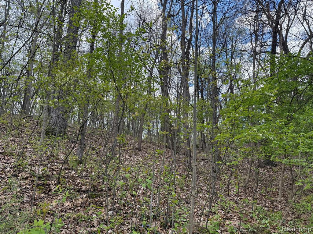 Lot 25 Hidden Ridge Trail, Fenton, MI 48430 — Photo 3