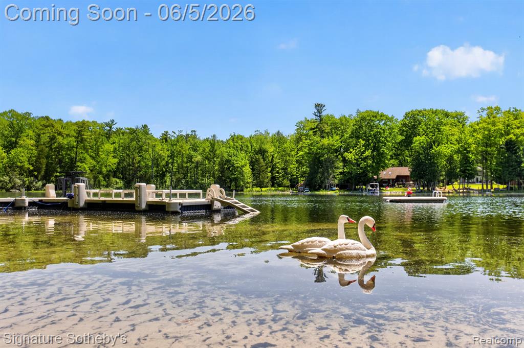 5084 N Birch Avenue, Fountain, MI 49410 — Photo 68