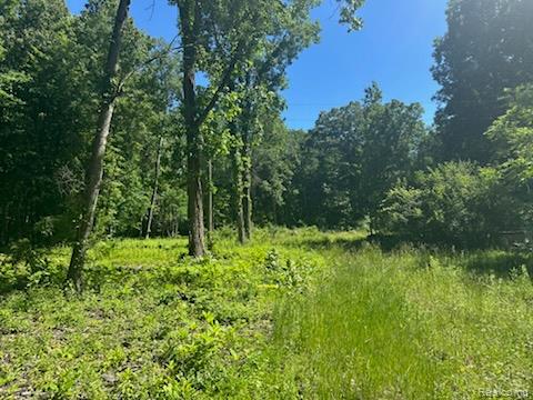 44735 Dunn Road, Belleville, MI 48111 — Photo 2