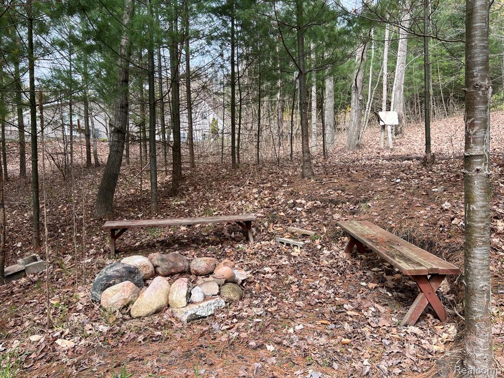 2903 Rushton Road, Central Lake, MI 49622 — Photo 9