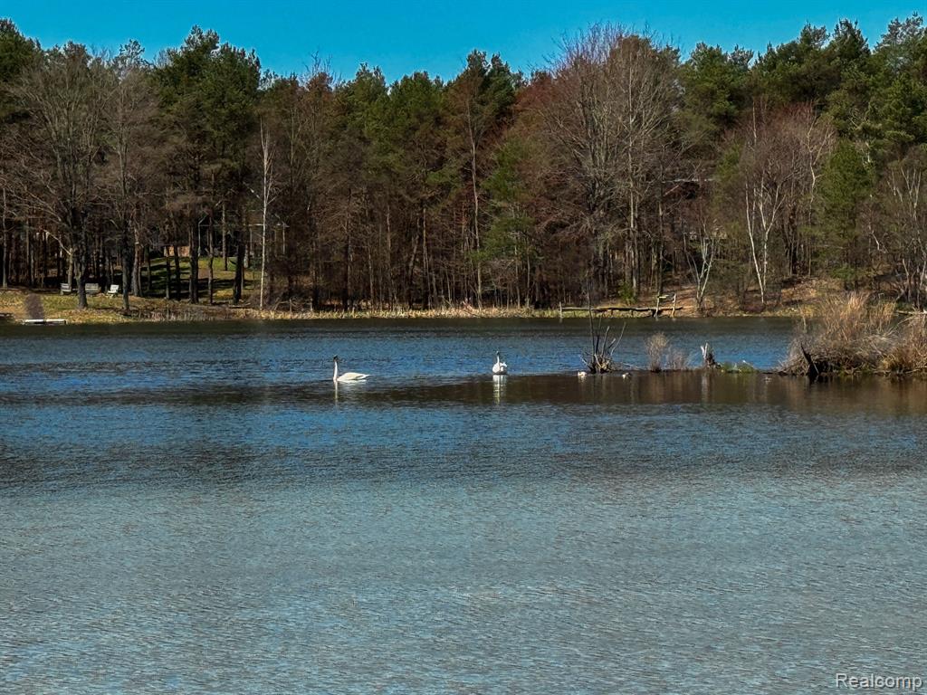 153 TIPPI Trail, Buckley, MI 49620 — Photo 41