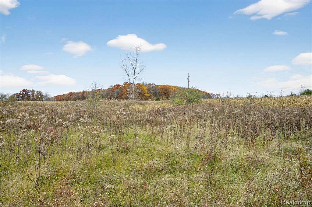 6434 Bristol Road, Swartz Creek, MI 48473 — Photo 28