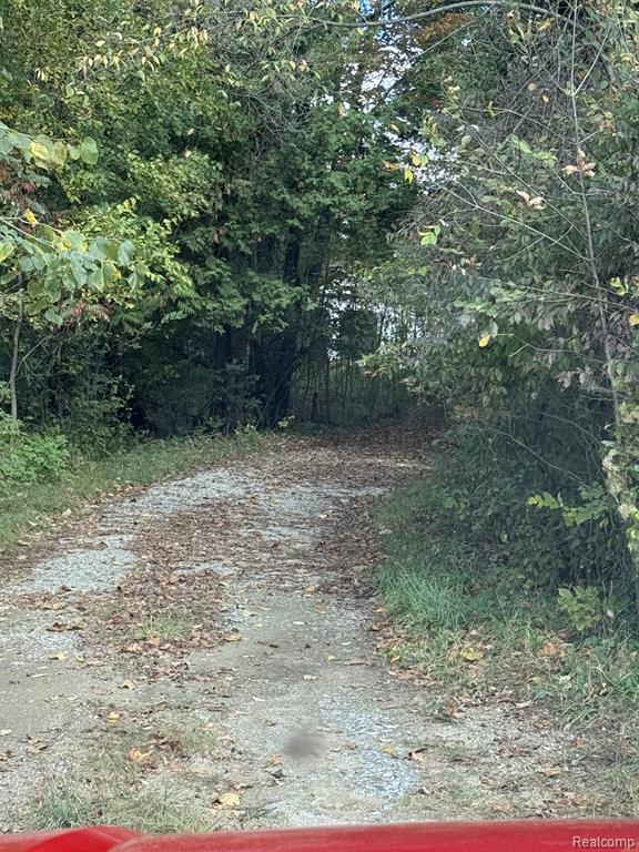 2200 Waterman Road, Mayville Vlg, MI 48744 — Photo 21