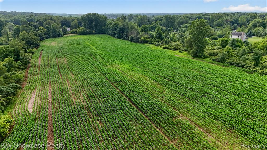 1120 N Gregory Road E, Fowlerville, MI 48836 — Photo 10
