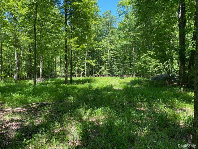 V/L UNDERWOOD Road, Caro, MI 48723 — Photo 4