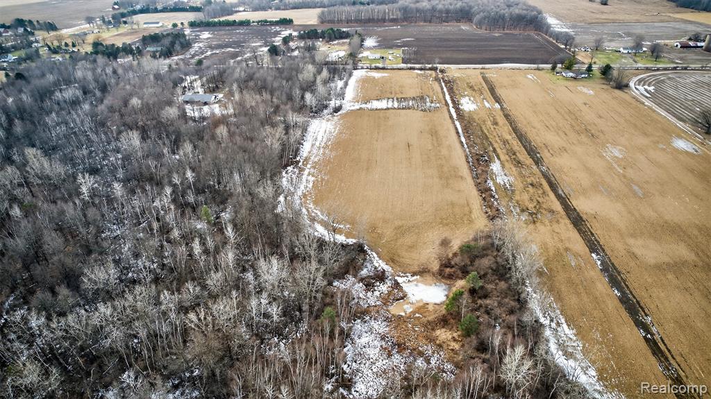 40 Acres Irish Rd, Millington, MI 48746 — Photo 5
