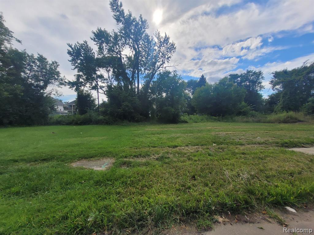 3443 BEALS Street, Detroit, MI 48214 — Photo 8