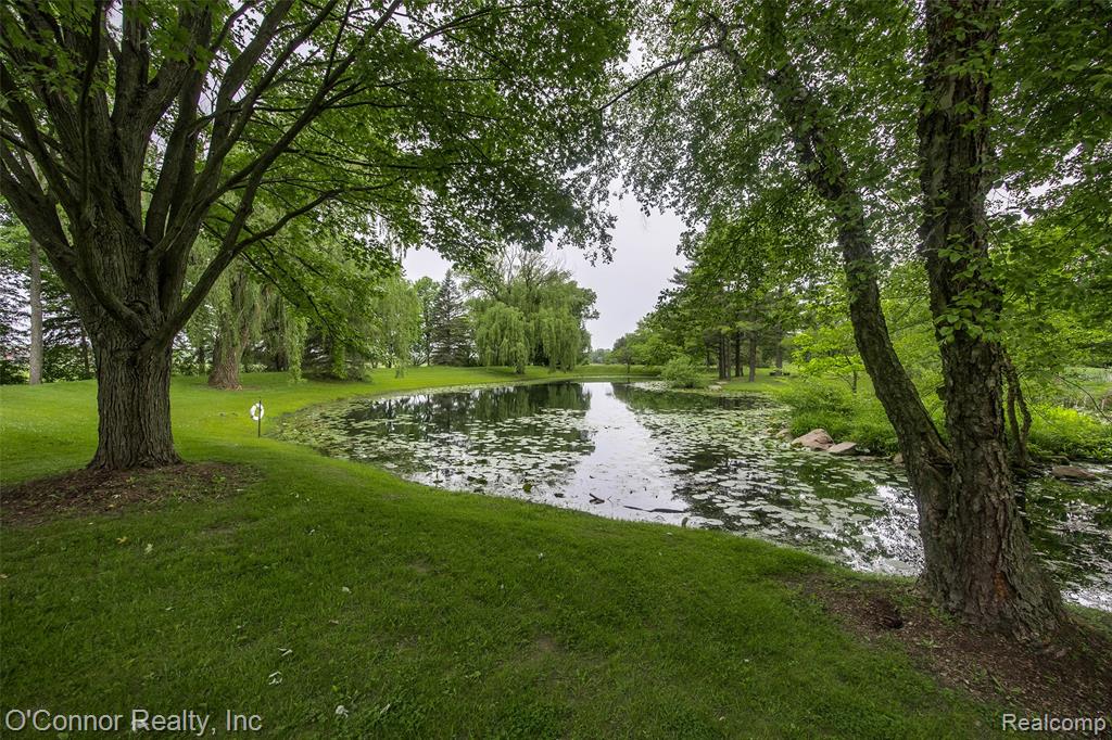 4304 Church Road, Casco, MI 48064 — Photo 12