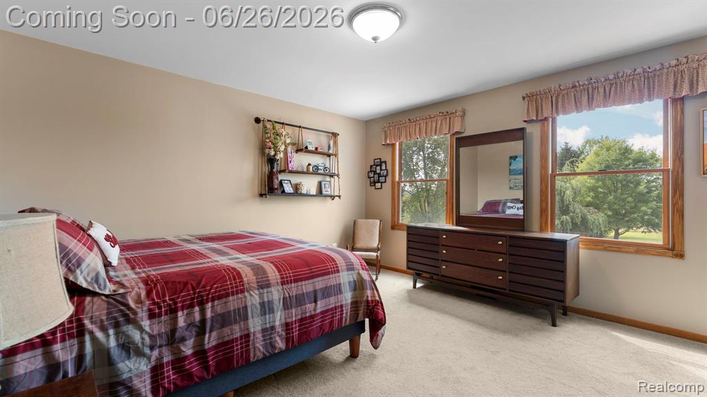 344 S Truhn Road, Fowlerville, MI 48836 — Photo 10