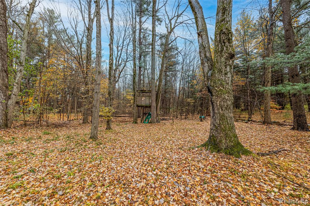 6152 N Gale Road, Davison, MI 48423 — Photo 4