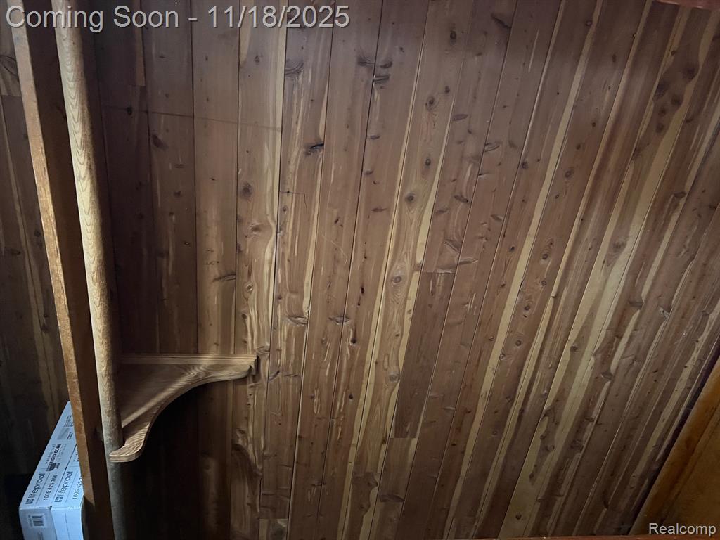 101 Main Street, Morrice, MI 48857 — Photo 12