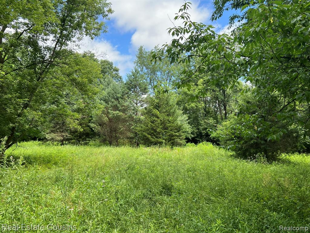 5440 Lobdell Road, Fenton, MI 48430 — Photo 10