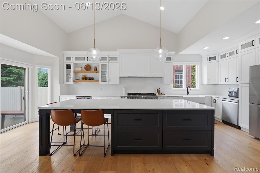 41920 Wolfe Pass, Novi, MI 48377 — Photo 17
