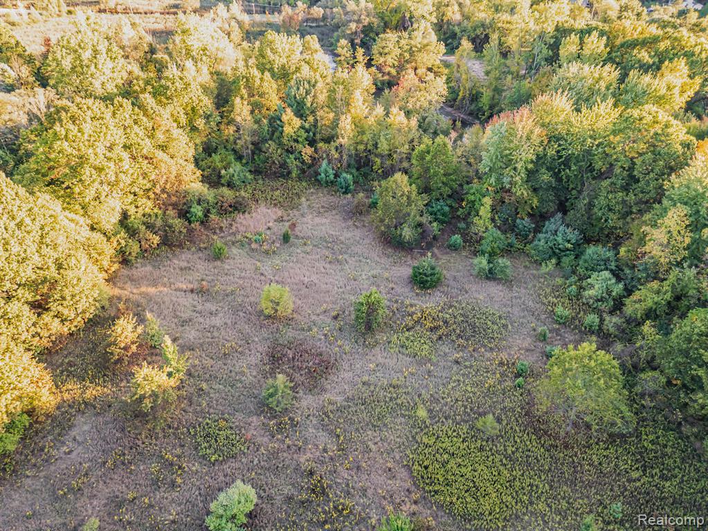 4354 Maybee Road, Lake Orion, MI — Photo 18