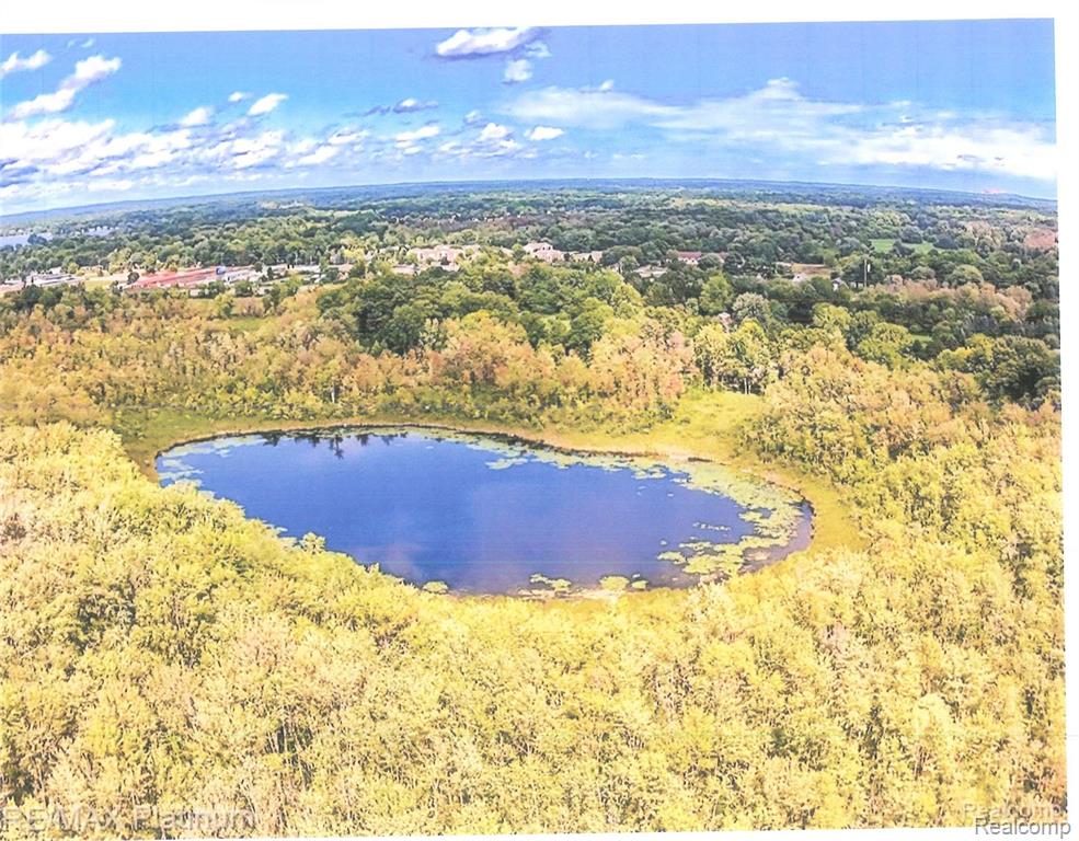 895 Jennings Road, Whitmore Lake, MI 48189 — Photo 46