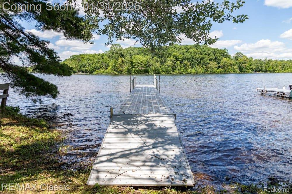 14049 Edgewater Drive, Gregory, MI 48137 — Photo 32
