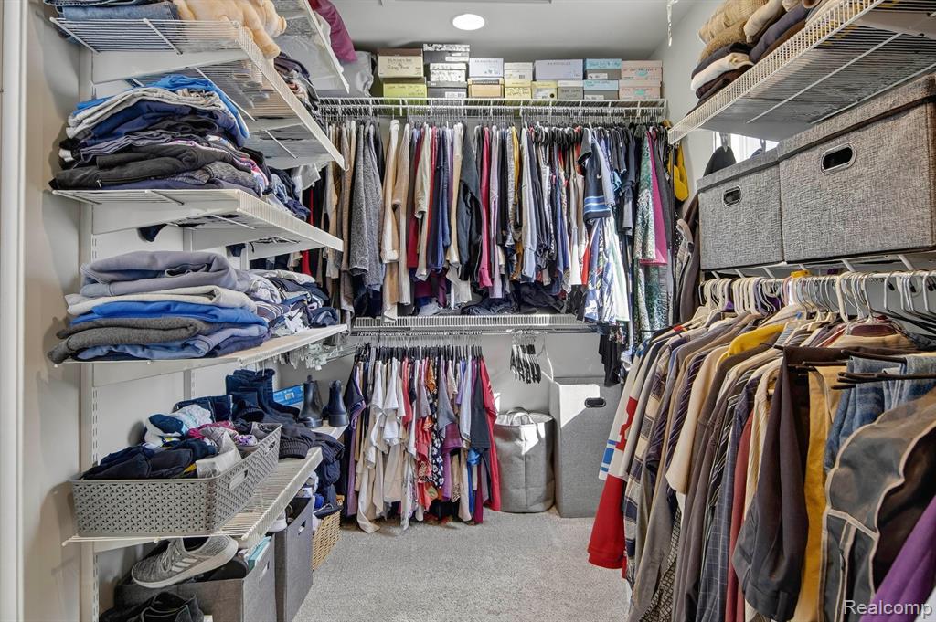 Walk in closet featuring carpet flooring