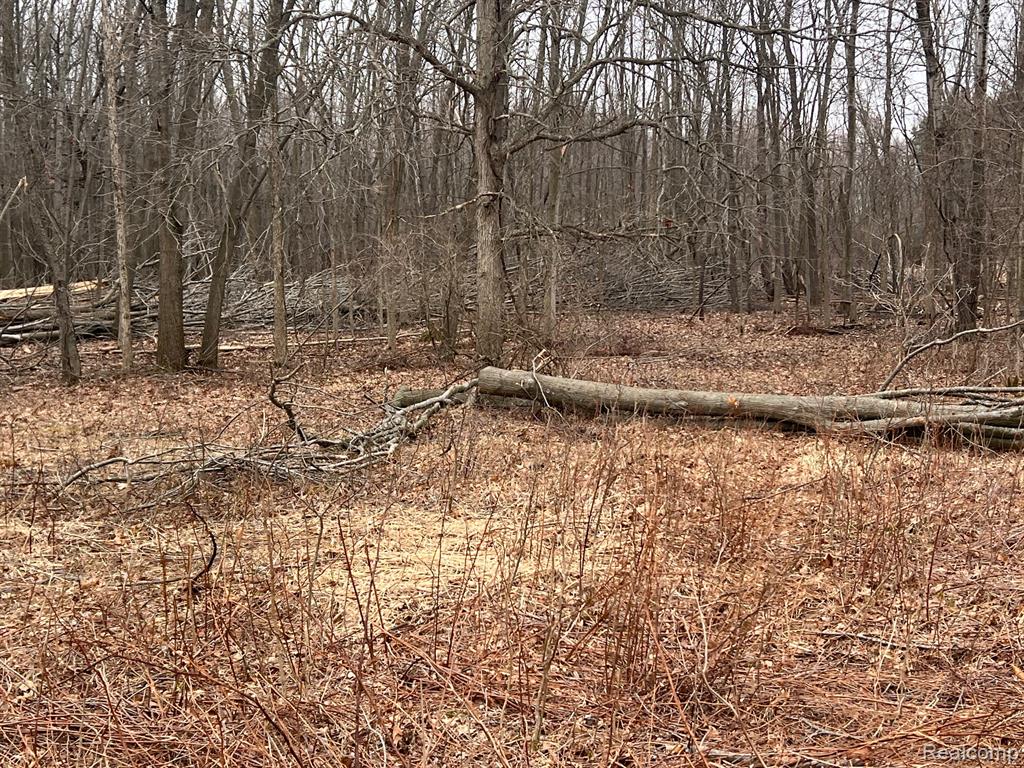 VL Washington Street, Perry, MI 48872 — Photo 19