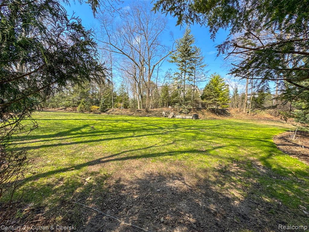 View of grassy yard