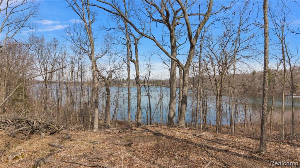 10515 Horton Road, Goodrich Vlg, MI — Photo 11