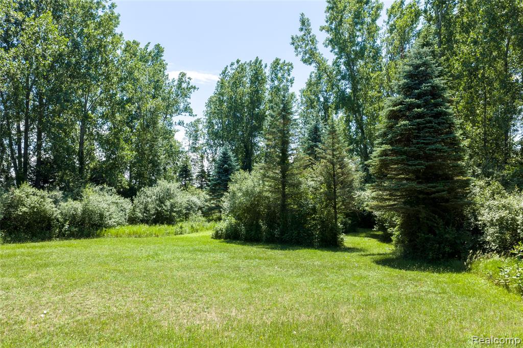 Parcel B Dodge Rd, Cass City, MI 48726 — Photo 11
