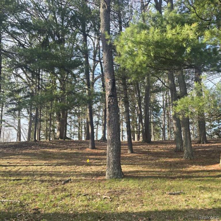 4662 N Lapeer Road, Columbiaville, MI 48421 — Photo 18