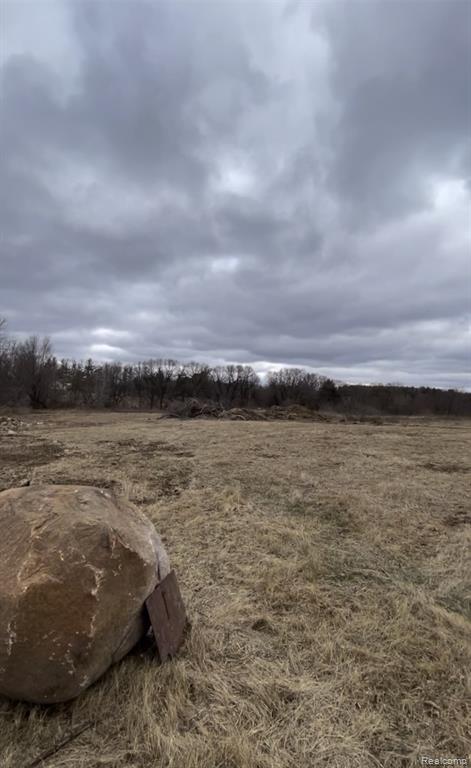 Parcel 3 S Creek Ln, Dryden, MI 48428 — Photo 4
