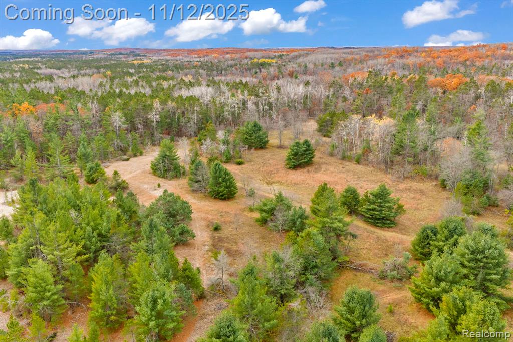 495 N M 65 Highway N, Curran, MI 48728 — Photo 44