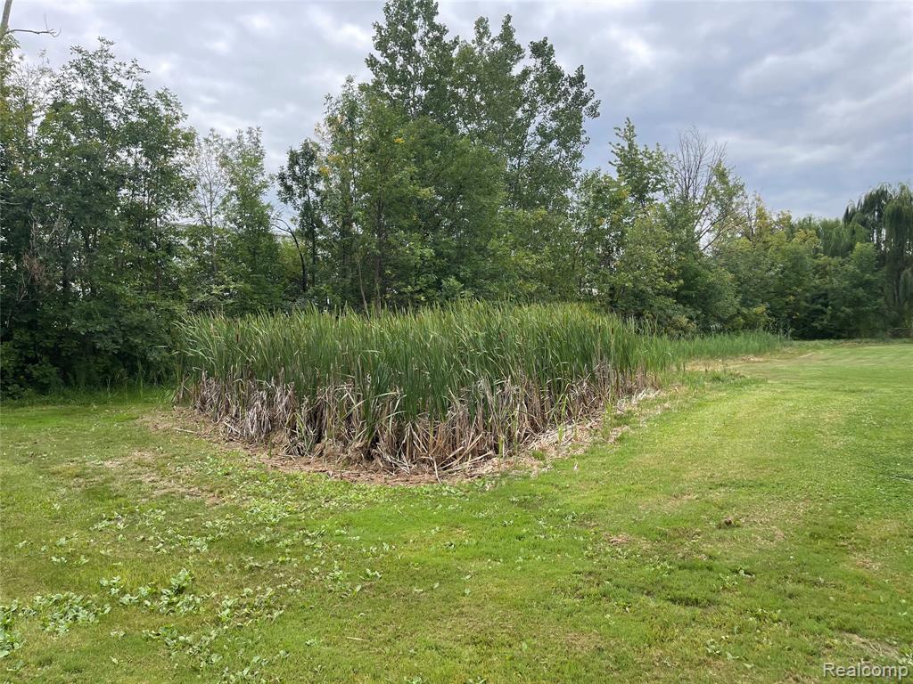 Search Homes for Sale