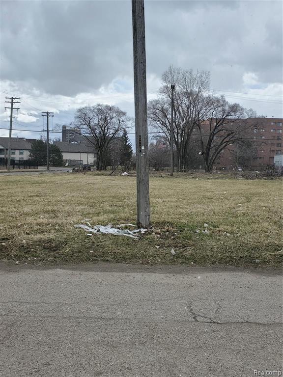 2138 HENDRICKS, Detroit, MI 48207 — Photo 2