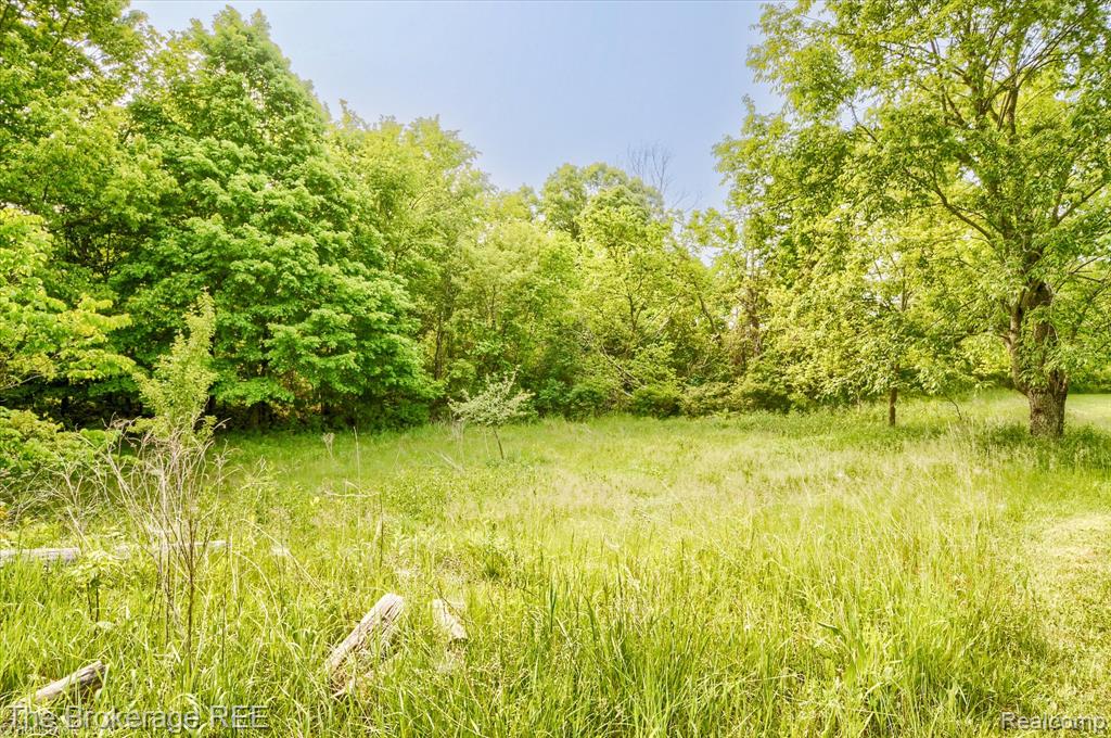 11305 Cook Road, Gaines Vlg, MI 48436 — Photo 54
