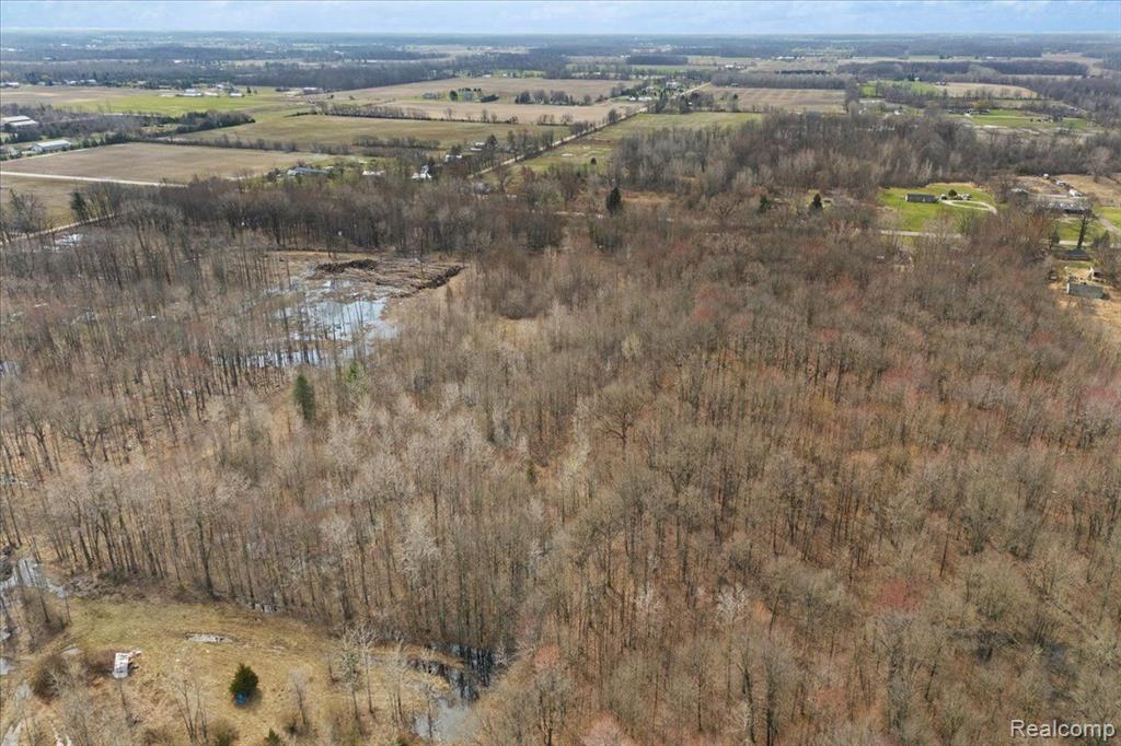 5278 OAKVILLE WALTZ Road, New Boston, MI 48164 — Photo 9