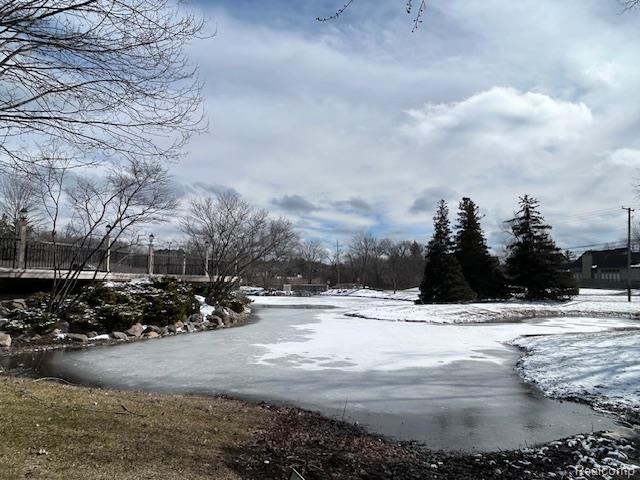 7305 Meadowridge Circle, 28, West Bloomfield, MI — Photo 19
