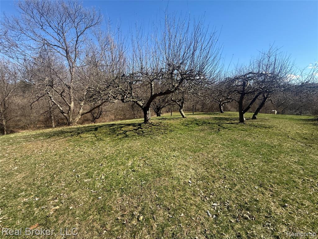 1802 N Elba Road, Lapeer, MI 48446 — Photo 59