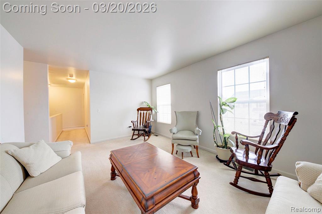 8627 Cass River Drive, Fowlerville, MI 48836 — Photo 14