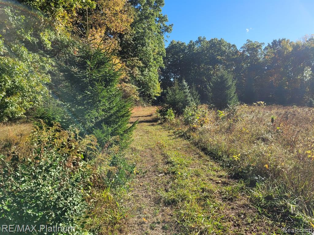 Parc B Tipsico Lake Road, Hartland, MI 48353 — Photo 7